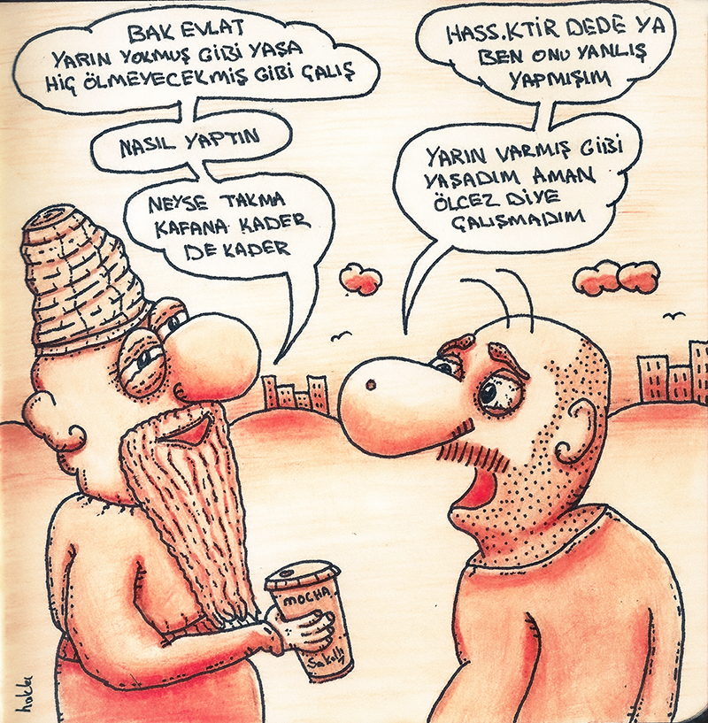 kabuklu sakallı bilge dede